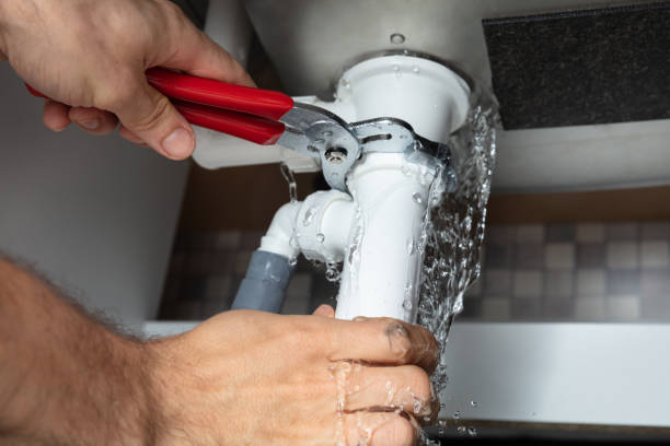 Best Fire Damage Restoration  in Diamond, IL