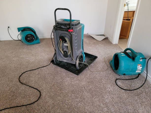 Best Water damage restoration insurance claims  in Diamond, IL