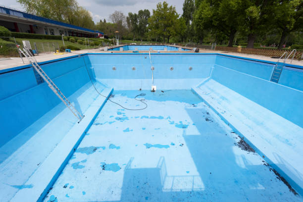 Best Flood restoration services  in Diamond, IL