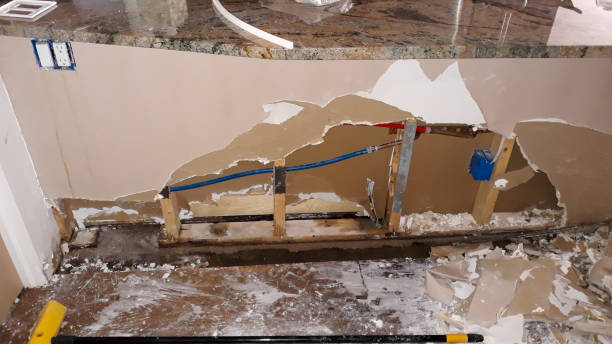 Best Sewage cleanup and water damage restoration  in Diamond, IL