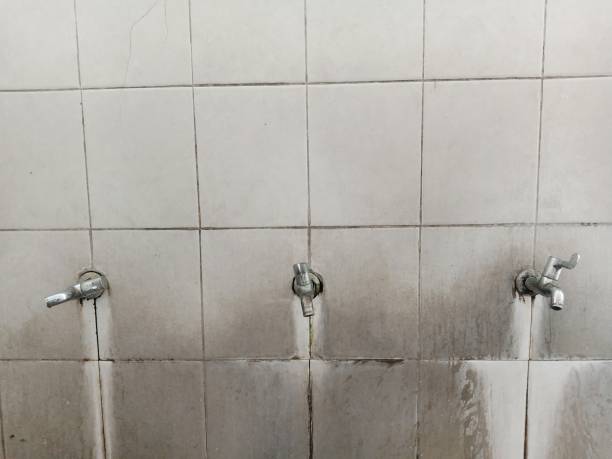Best Mold removal after water damage  in Diamond, IL