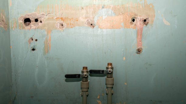 Best Carpet water damage restoration  in Diamond, IL