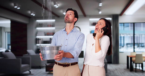 Best Ceiling water damage repair  in Diamond, IL