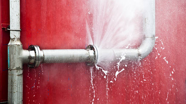 Best Basement water damage restoration  in Diamond, IL
