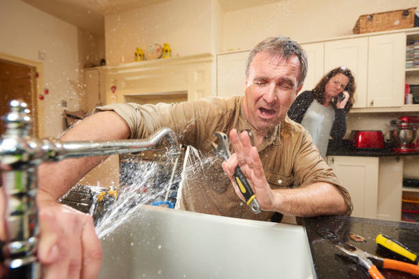 Best Commercial water damage restoration  in Diamond, IL